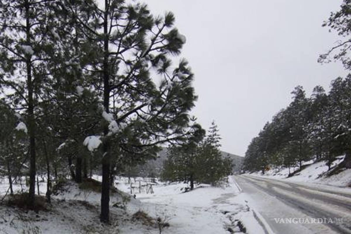 Cancelan vuelos a Chihuahua, Saltillo y Juárez