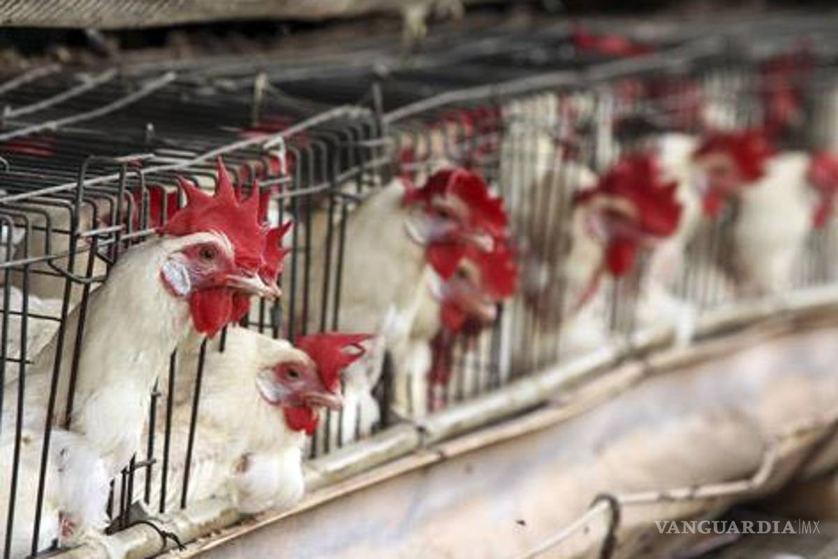 Alza en alimentos pega a los bolsillos