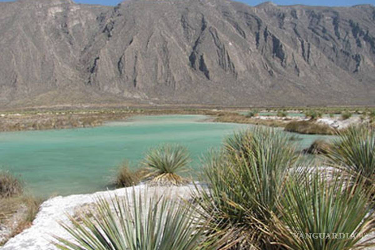 Cuatrociénegas tiene los días contados, alerta Cinvestav