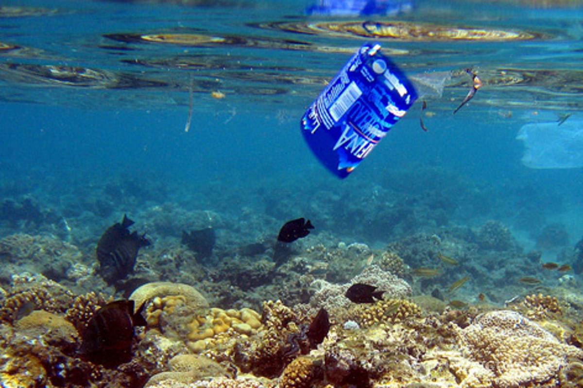 Son océanos, no cloacas