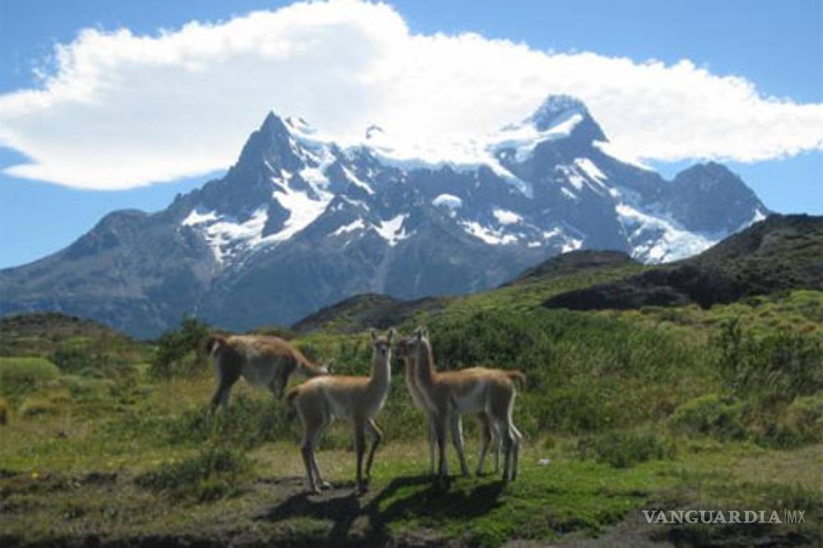 Aprueban en Chile construcción de hidroeléctricas que inundarán miles de hectáreas de Patagonia