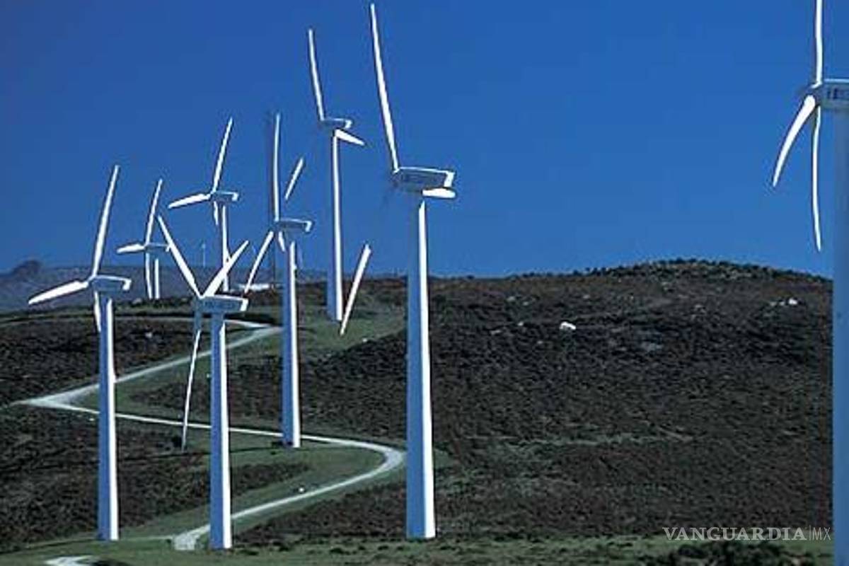 Pide Observatorio de Multinacionales detener instalación de parque