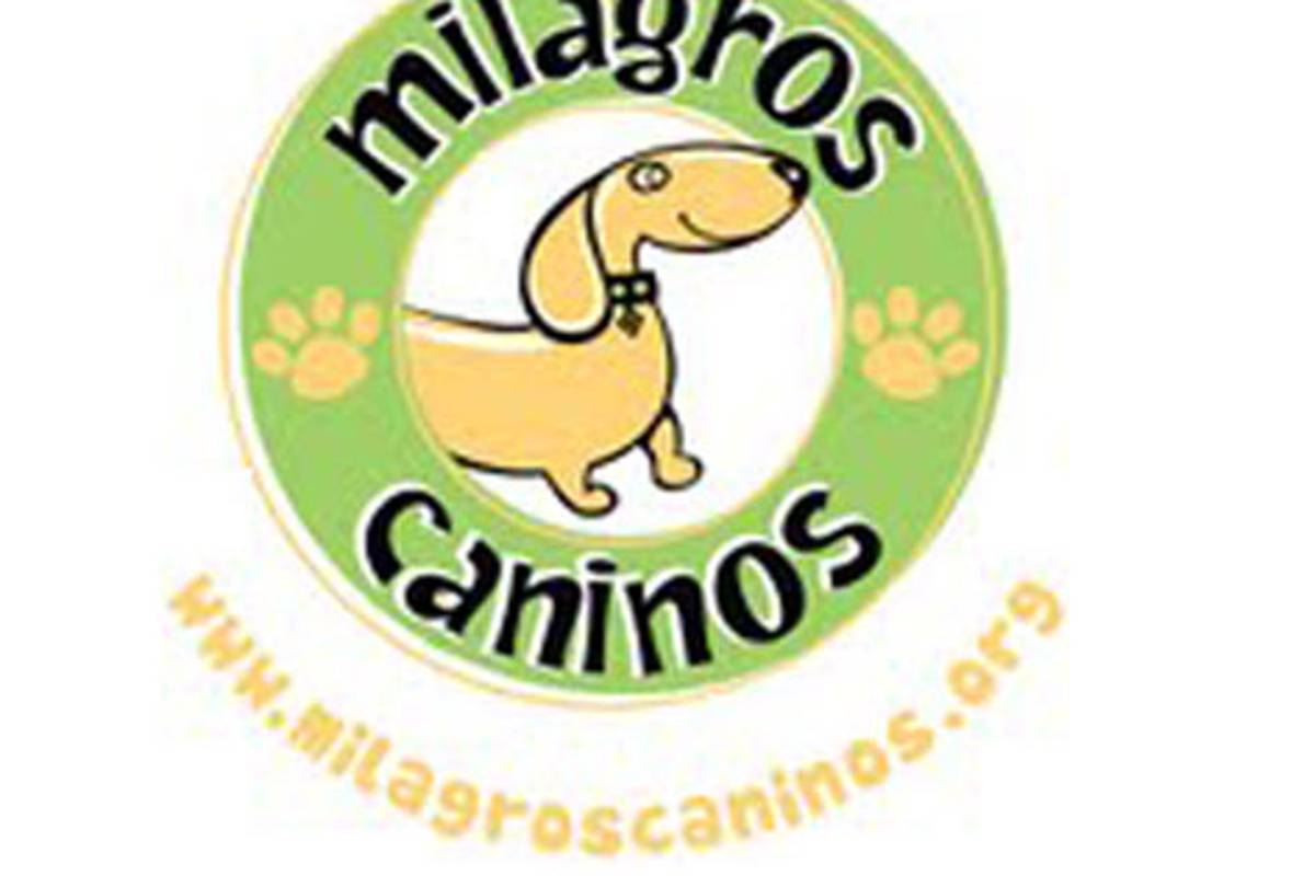 Milagros Caninos, el Primer Santuario para Perros en AL, en peligro de desaparecer
