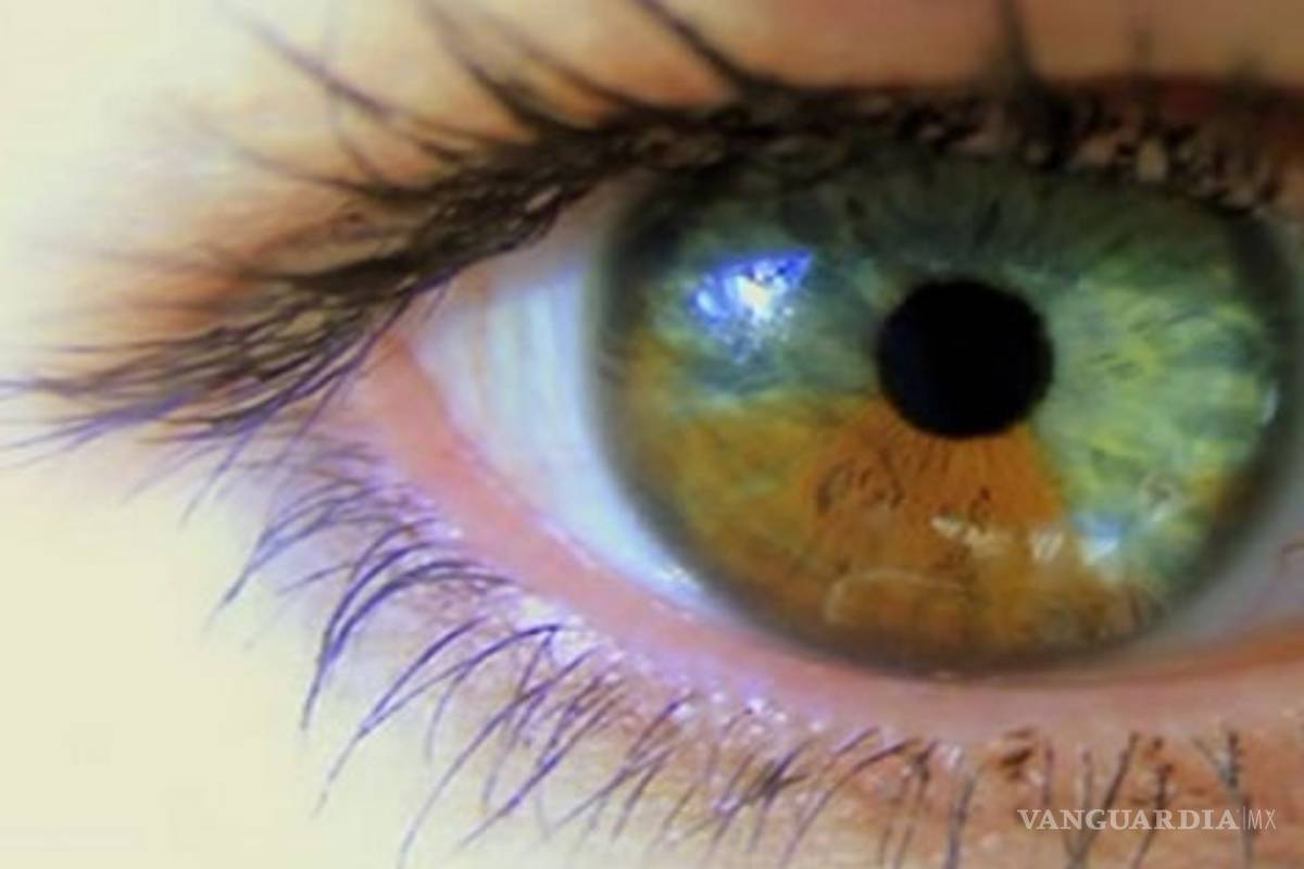 "Lumineyes", para cambiar el color de ojos al gusto