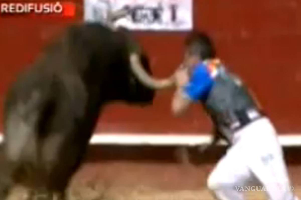 Le clava los cuernos en el cuello y 'vuela' por los aires (Video)