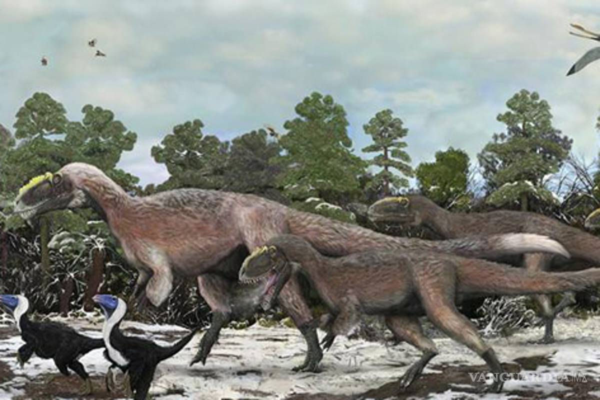 Hallan a pariente de Tiranosaurio con plumas