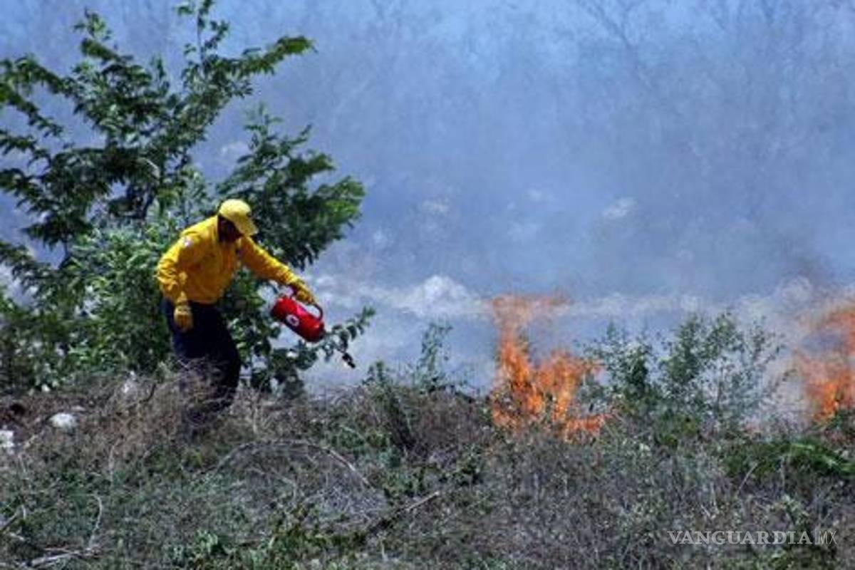 Brasil ofrece ayuda para combatir incendios forestales en Coahuila