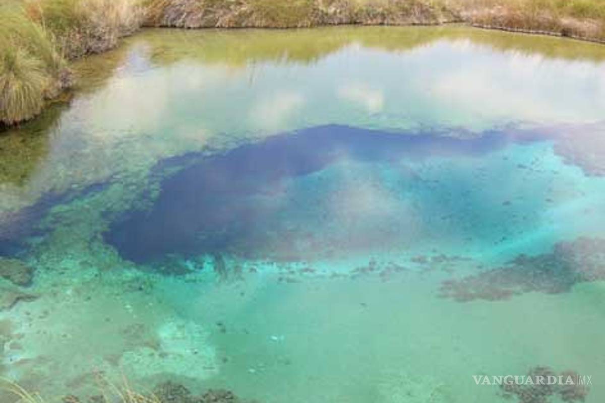 Coahuila pide veda total para Cuatrociénegas