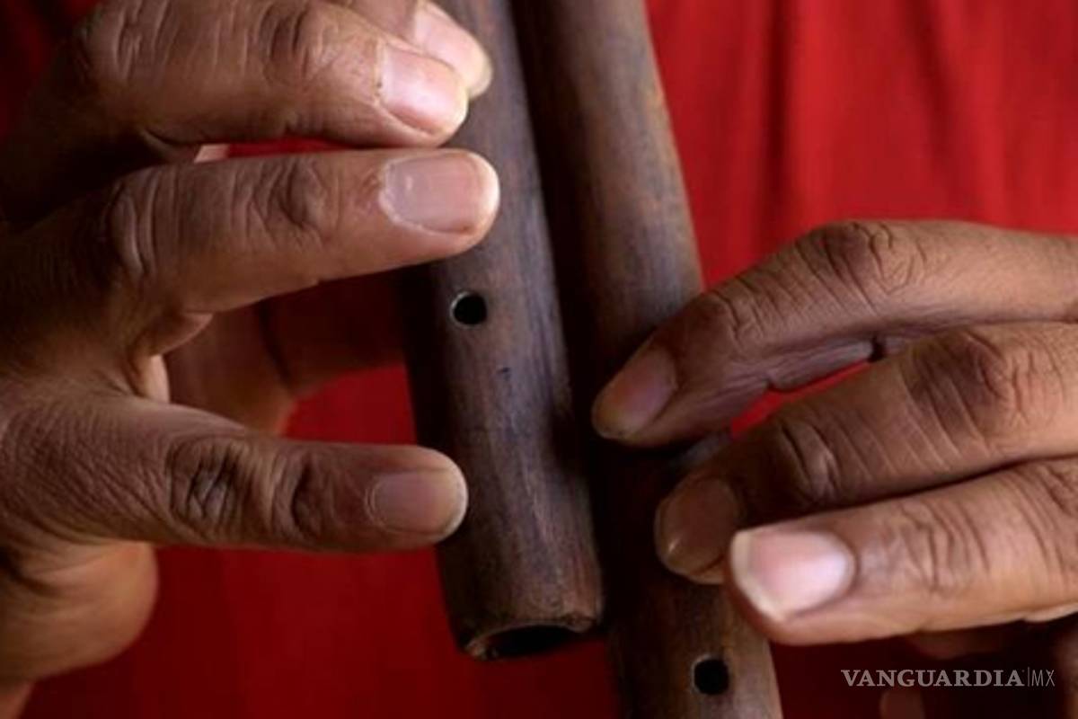 Descubren hasta 600 rangos sonoros en objetos musicales