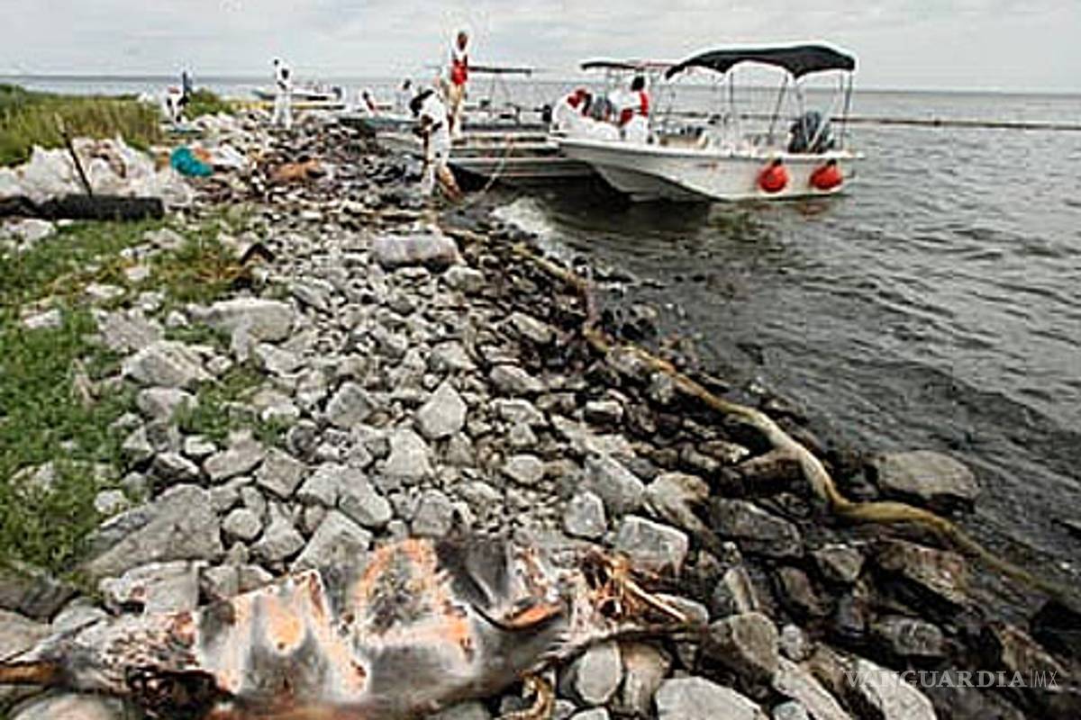 Empiezan a revelarse mutaciones en el Golfo de México por derrame petrolero