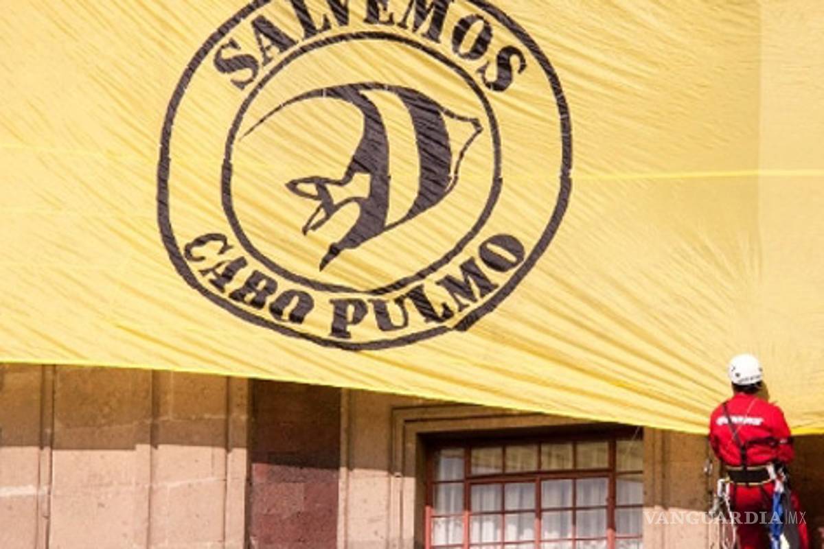 La ciudadanía salvó Cabo Pulmo: Greenpeace México