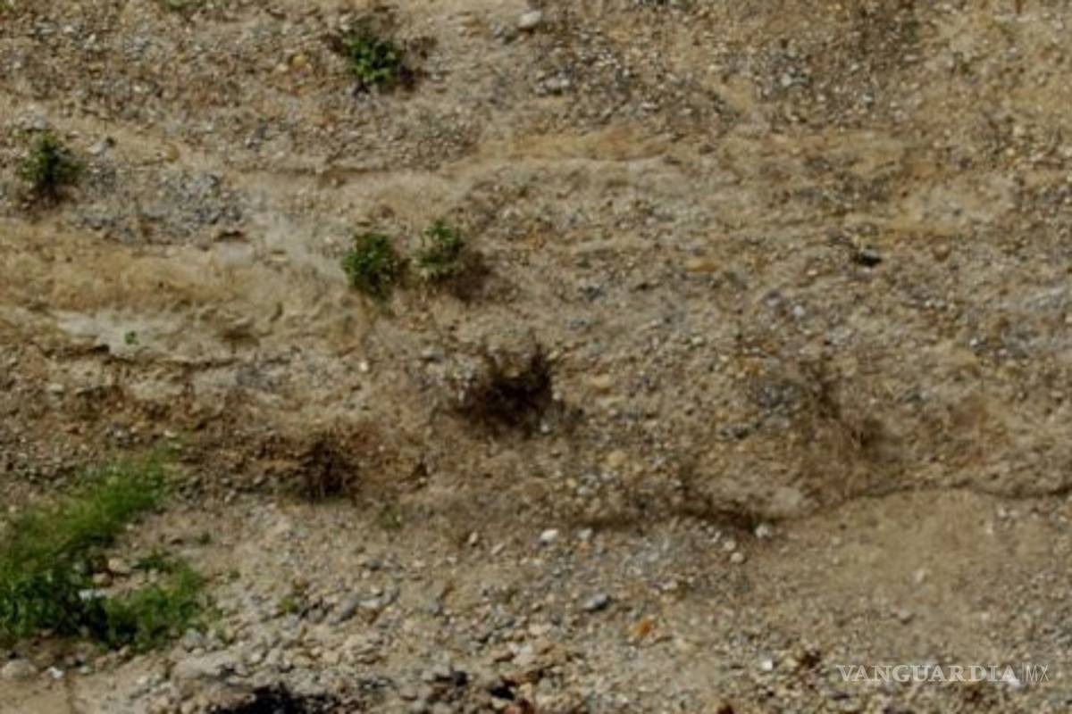 Encuentran fosas clandestinas en Michoacán