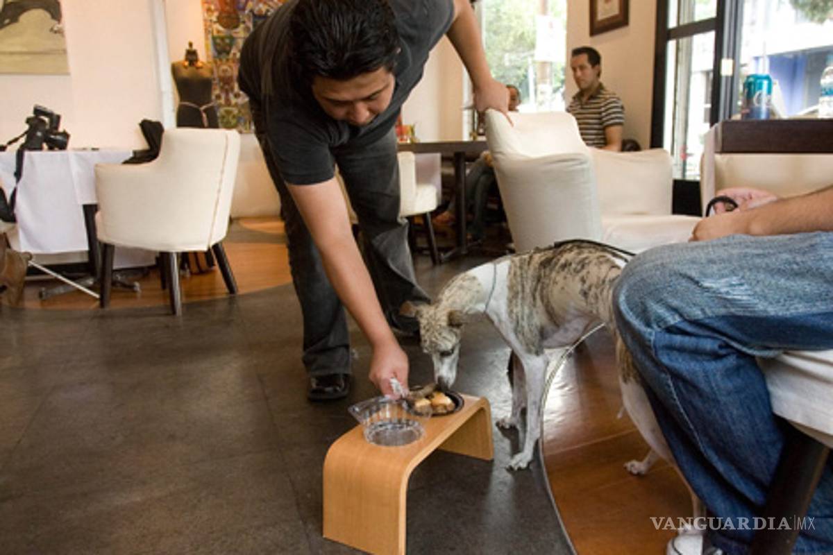 Gastronomía para lamerse las patas