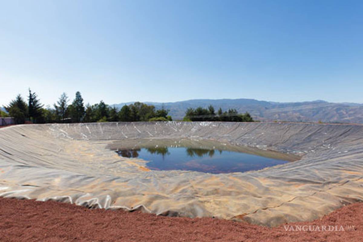 Recolectan agua pluvial para reducir efectos de la sequia