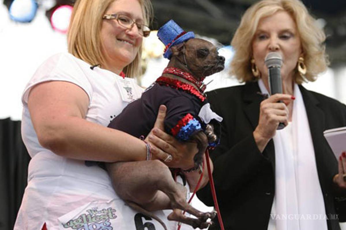 Mugly, un chino crestado, es el "perro más feo del mundo"