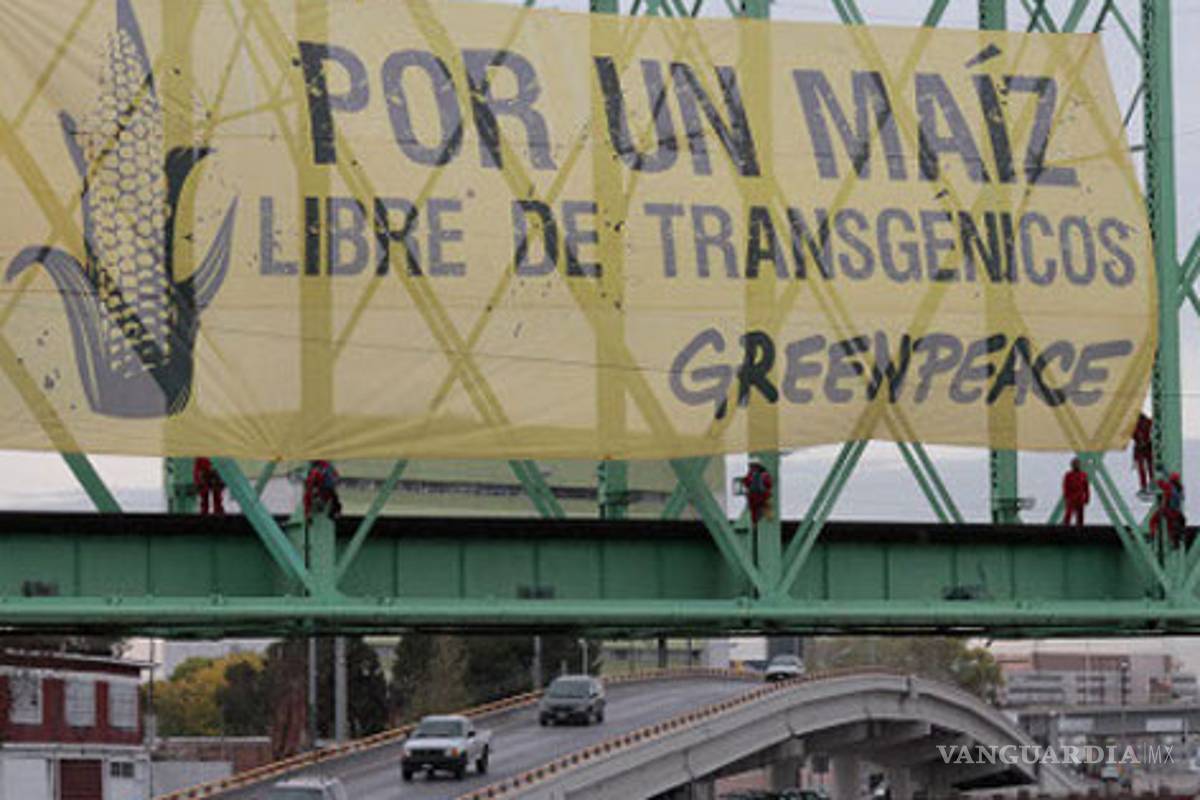 Colocan manta gigante de Green Peace en Chihuahua