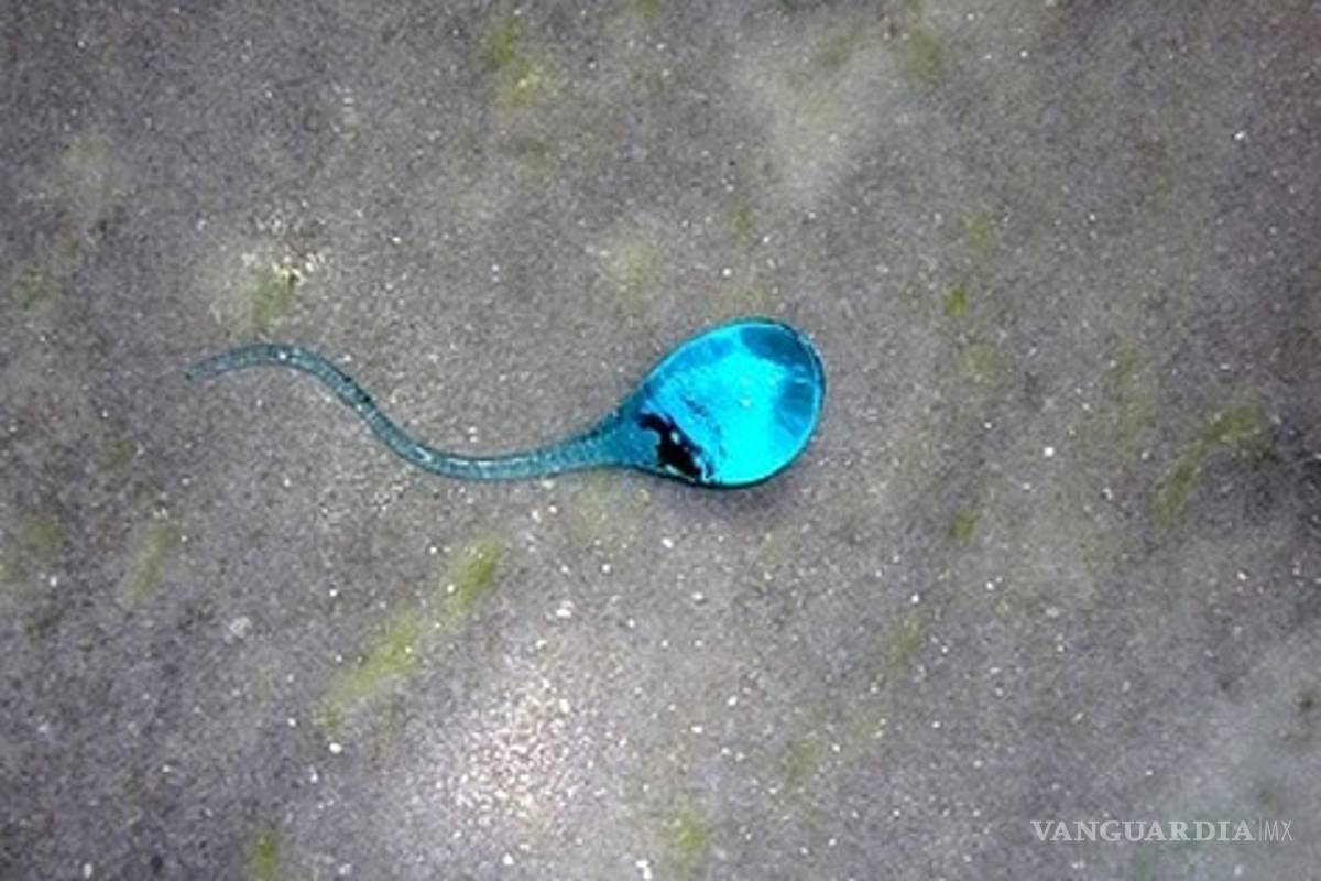 40% de casos de infertilidad son de origen masculino