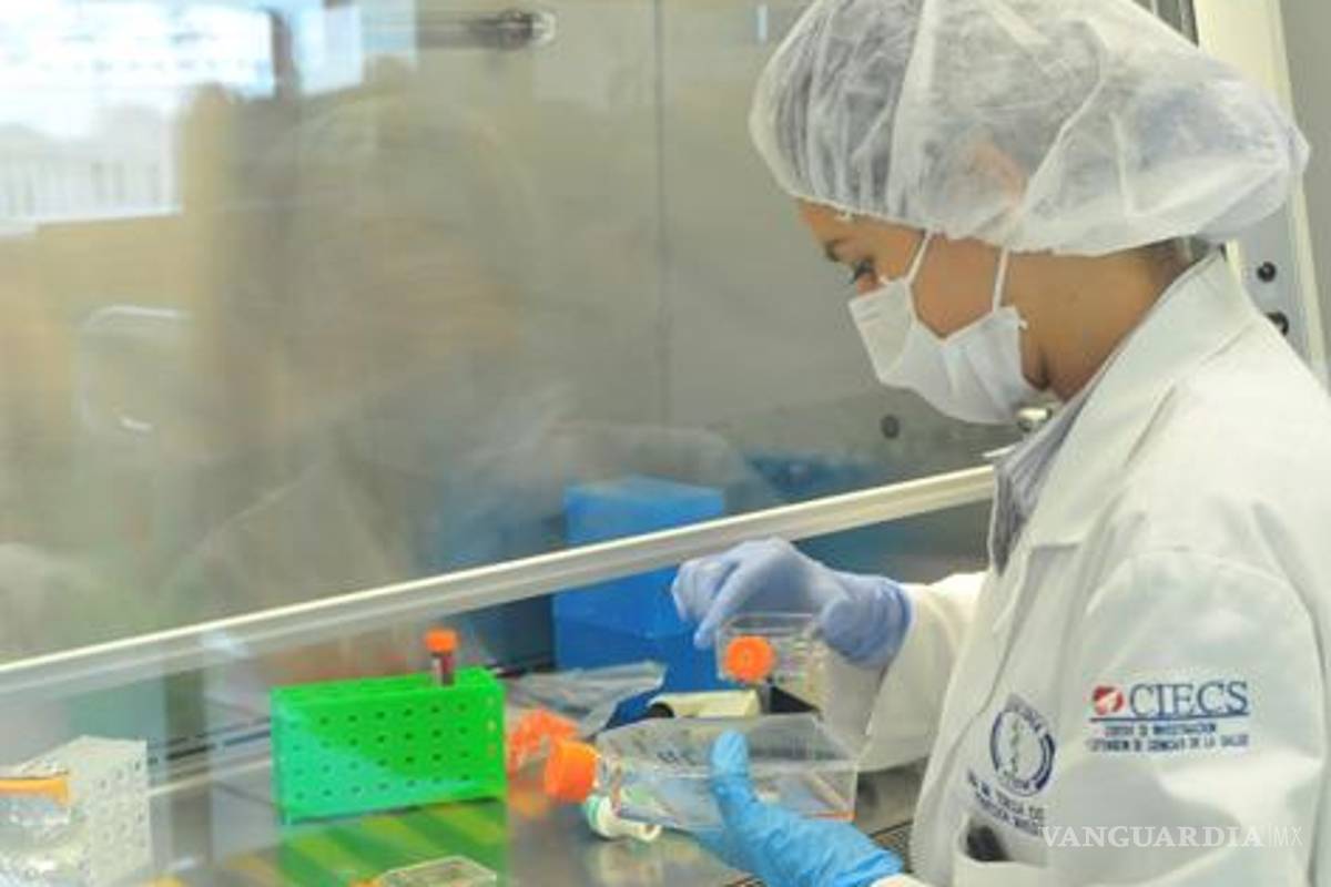 DRACO: Medicina que podría acabar con cualquier tipo de virus