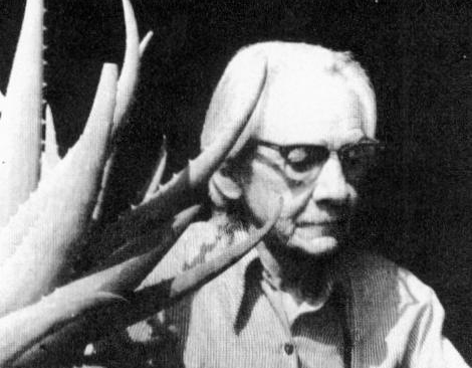 México celebra 110 años de nacimiento del fotógrafo Alvarez Bravo