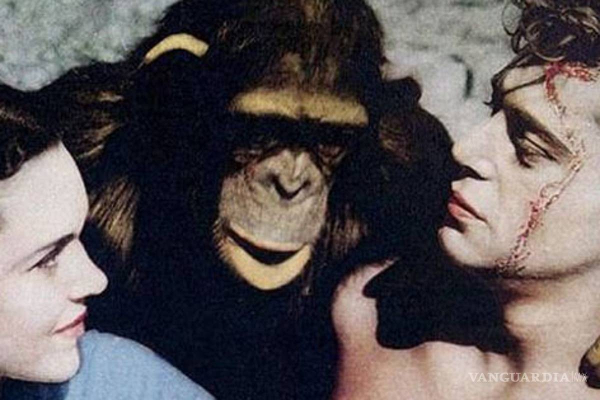 Ser actor-animal en Hollywood, ¿fortuna o desgracia?