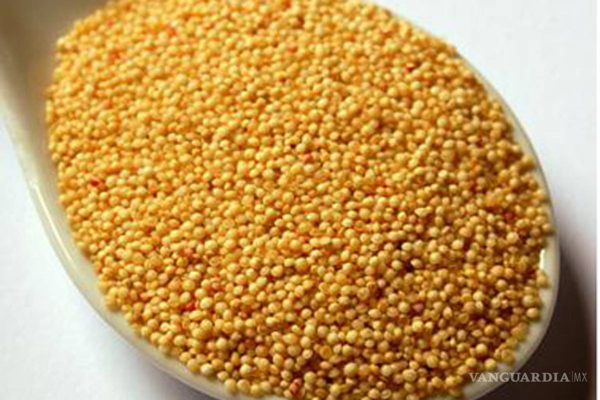 Amaranto puede reducir presión arterial