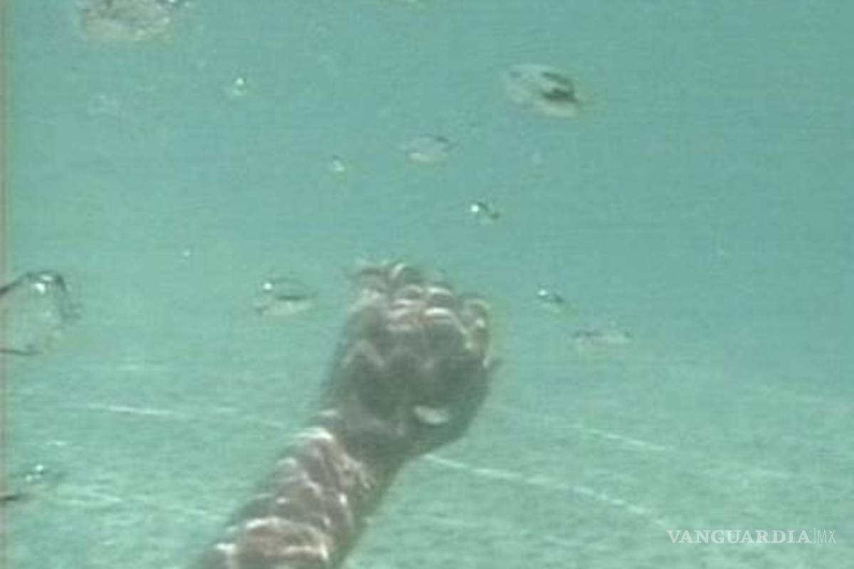 Mujer indonesia ahoga a hijo porque tenía el pene pequeño