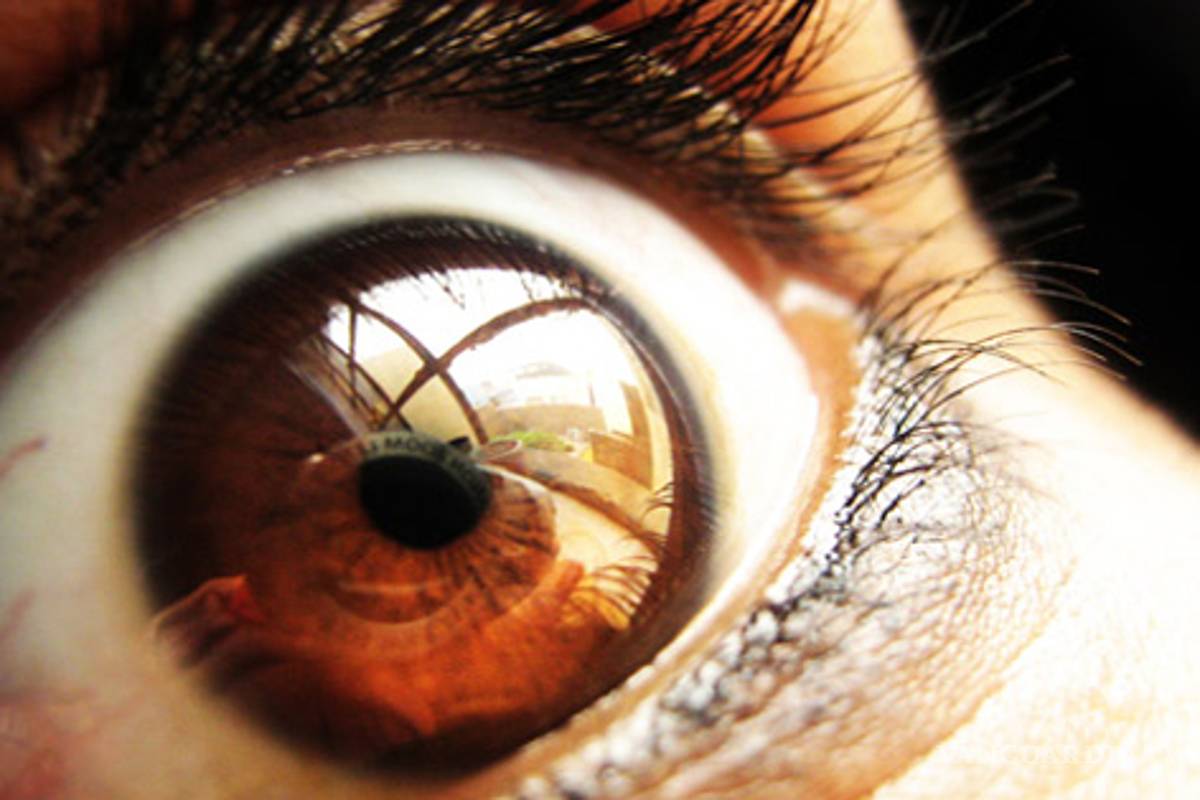 Transtornos mentales: Paranoia