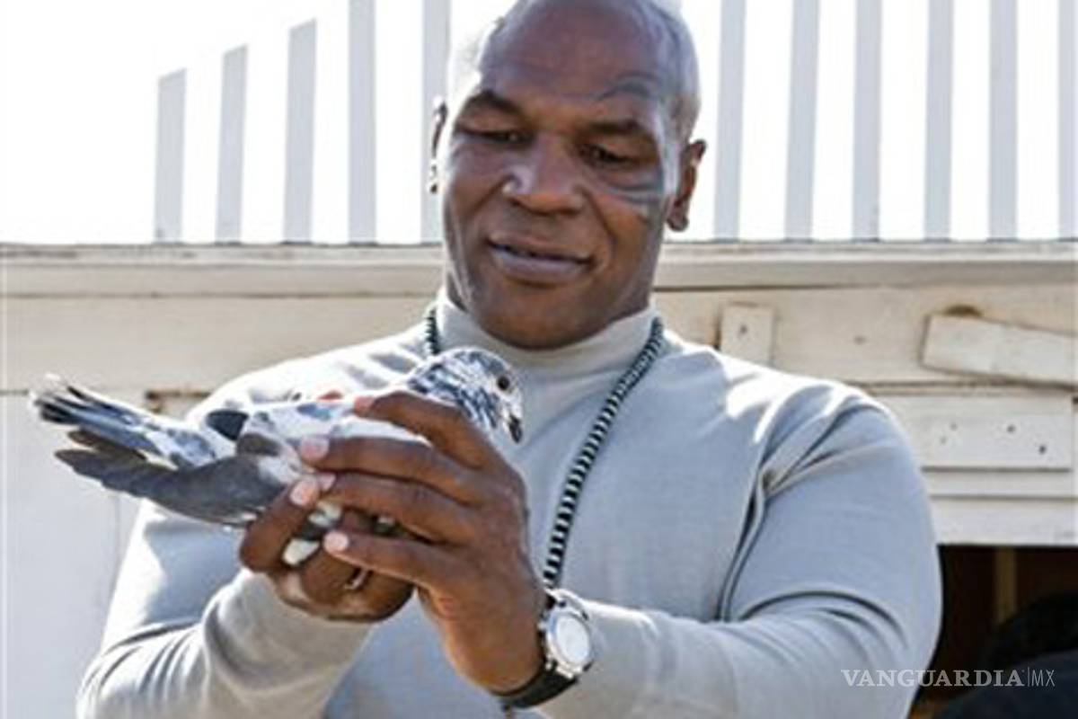 Mike Tyson comparte pasión por cría de palomas