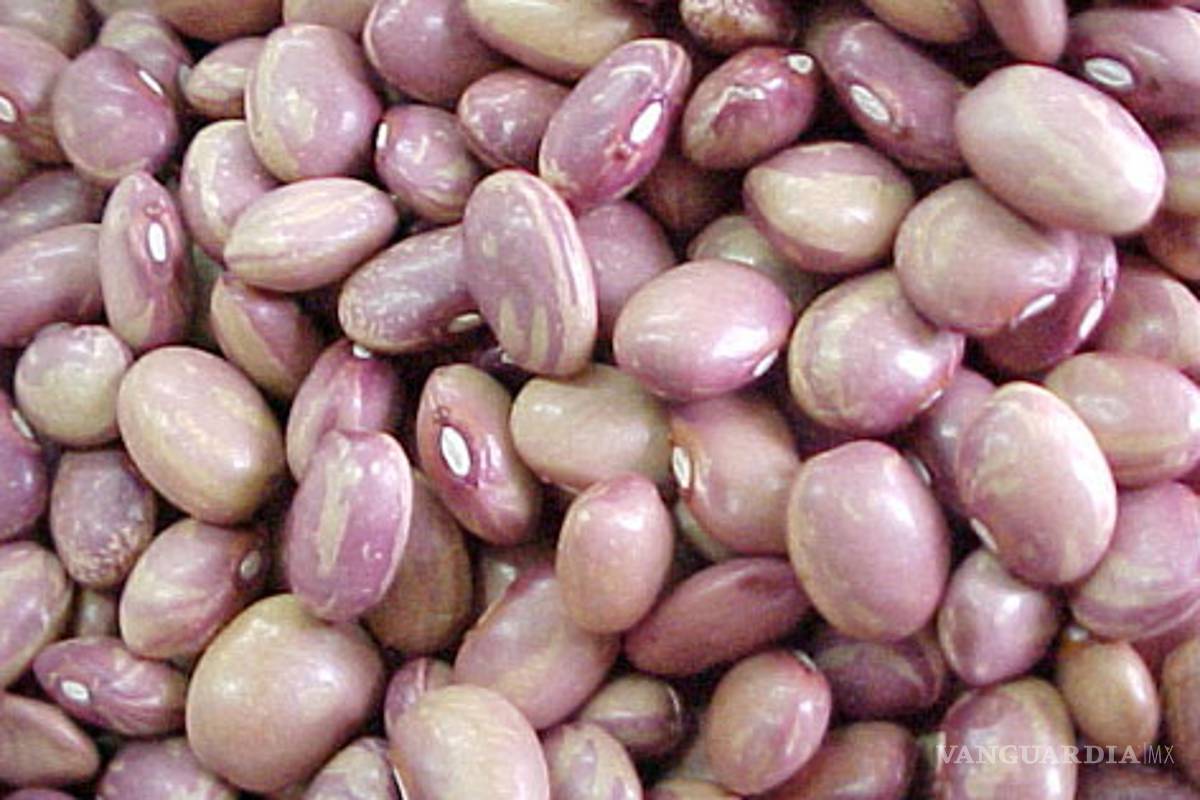 10 características desconocidas del frijol