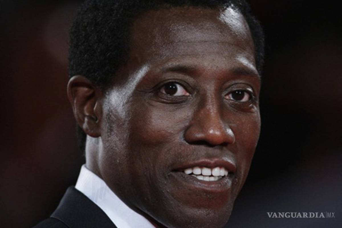 Actor Wesley Snipes ingresará la próxima semana a cárcel por condena