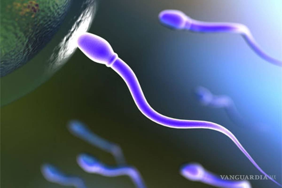 El anillo vaginal, anticonceptivo novedoso, efectivo y económico