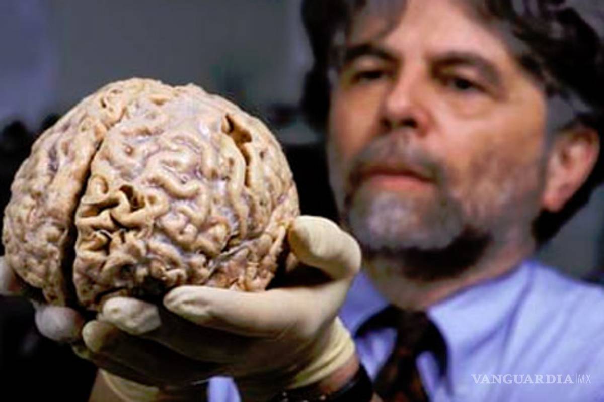 El cerebro humano se encoge y pierde capacidad con la edad