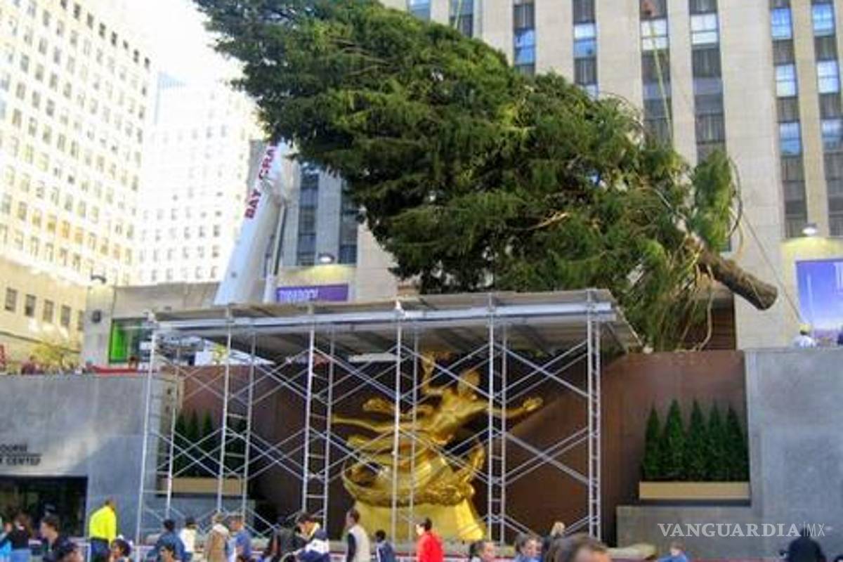 El árbol navideño del Rockefeller Center es un superviviente de "Sandy"