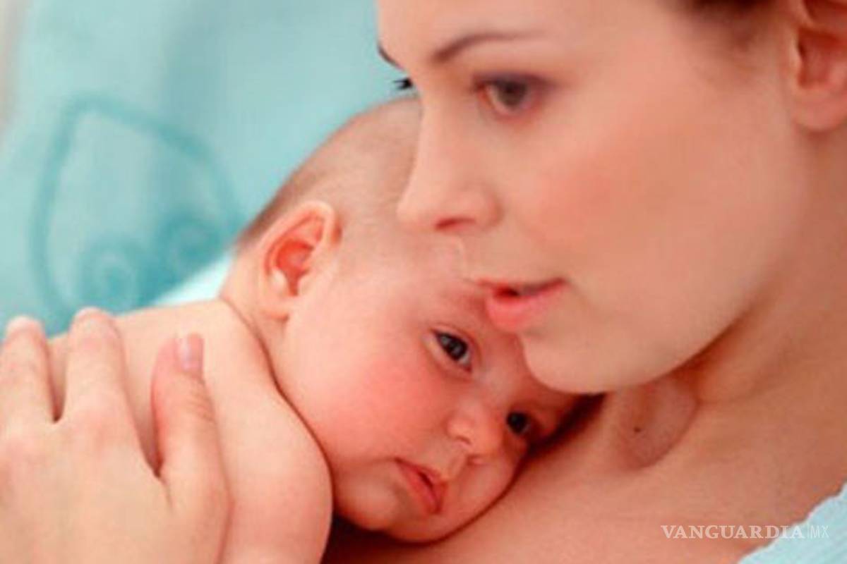 Un estudio encuentra toxinas de transgénicos en bebés aún no nacidos