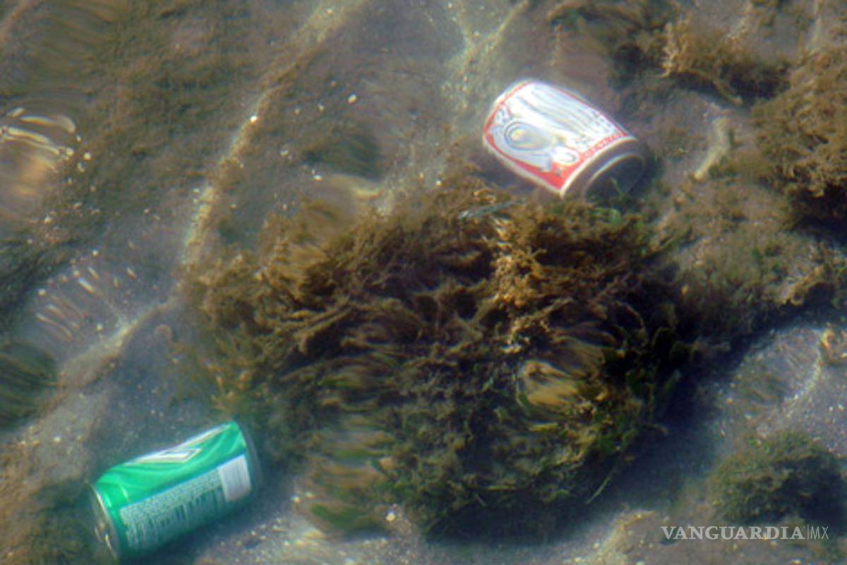 Océanos en riesgo de extinción masiva: expertos