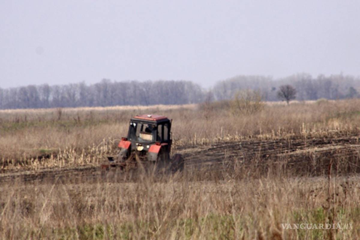 A dos décadas del cambio al artículo 27, 60% del ejido nacional está rentado