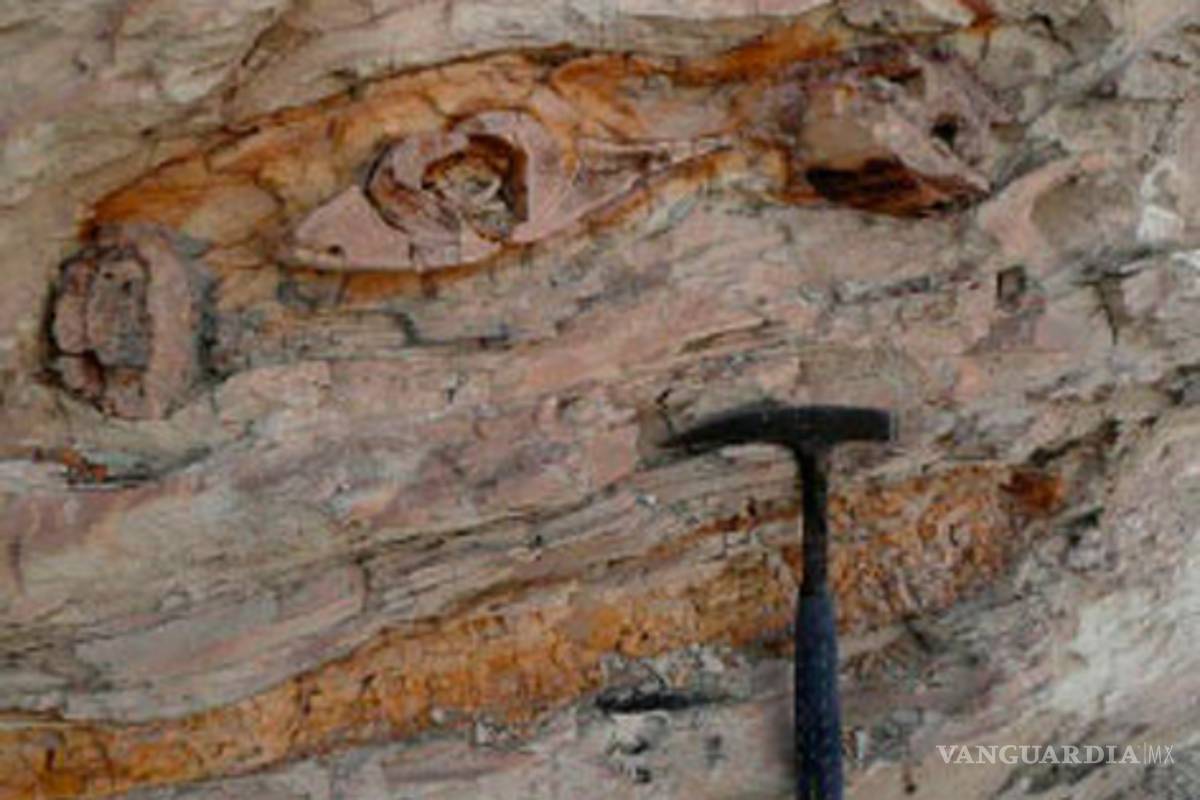 Arcilla y rayos gamma claves en origen de la vida