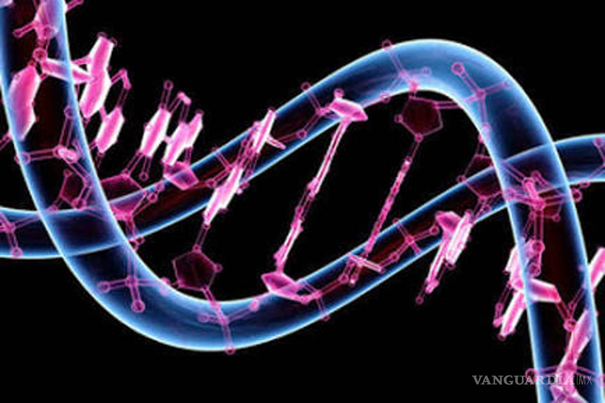 La doble hélice del ADN revolucionó a la biología