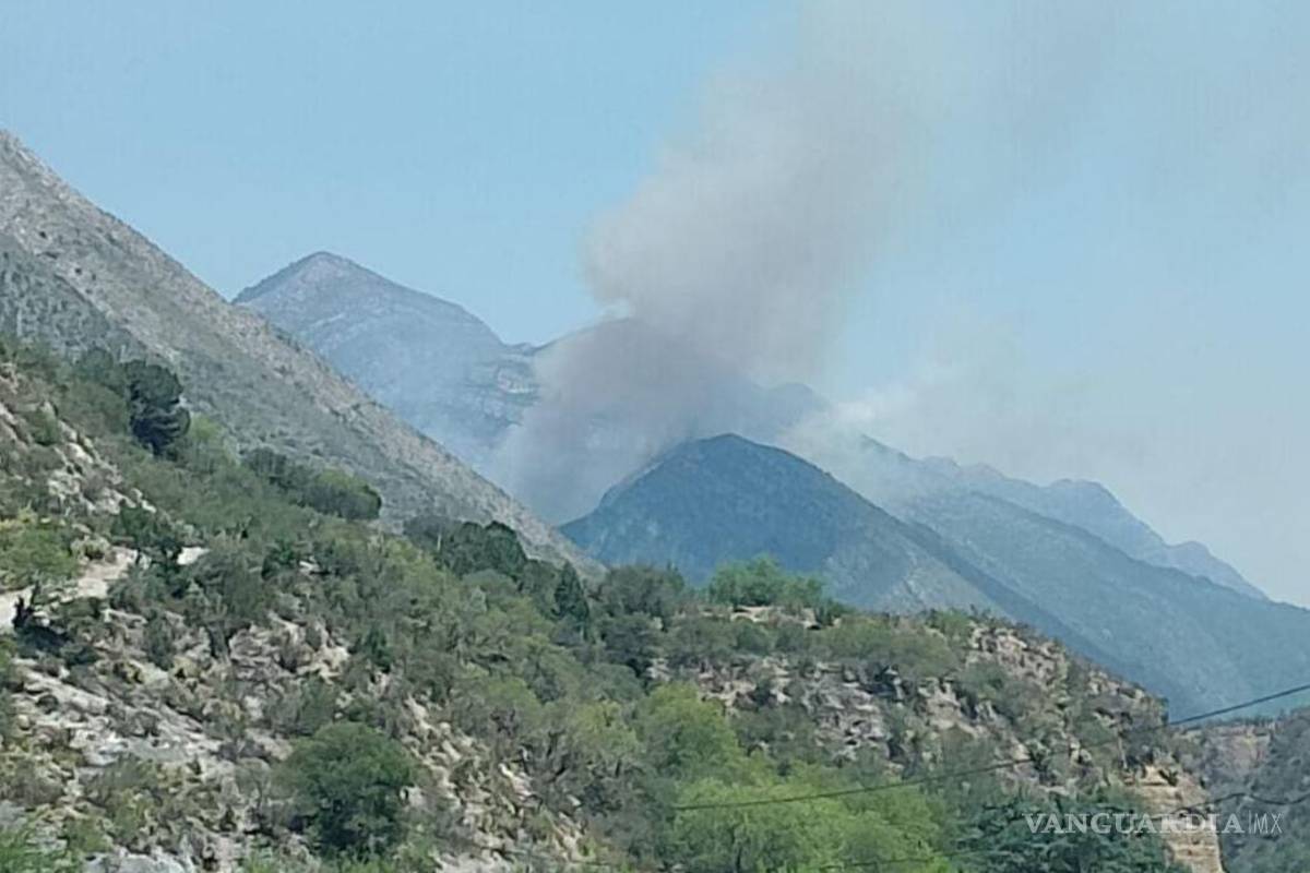 Saltillo: continúa incendio forestal en Jagüey de Ferniza; autoridades luchan por sofocarlo