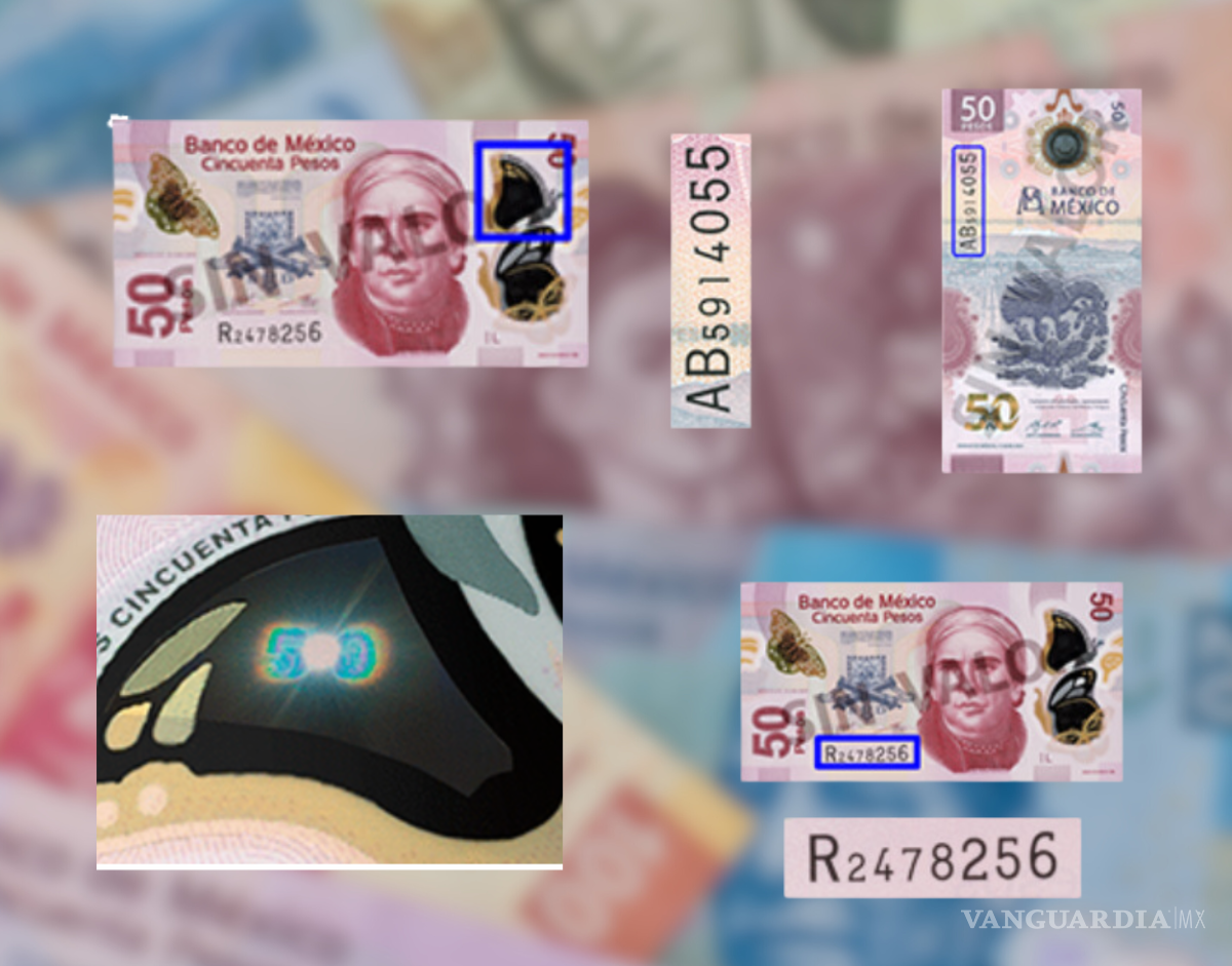 $!¿Cómo identificar un billete falso? Evita ser estafado siguiendo estos 3 pasos