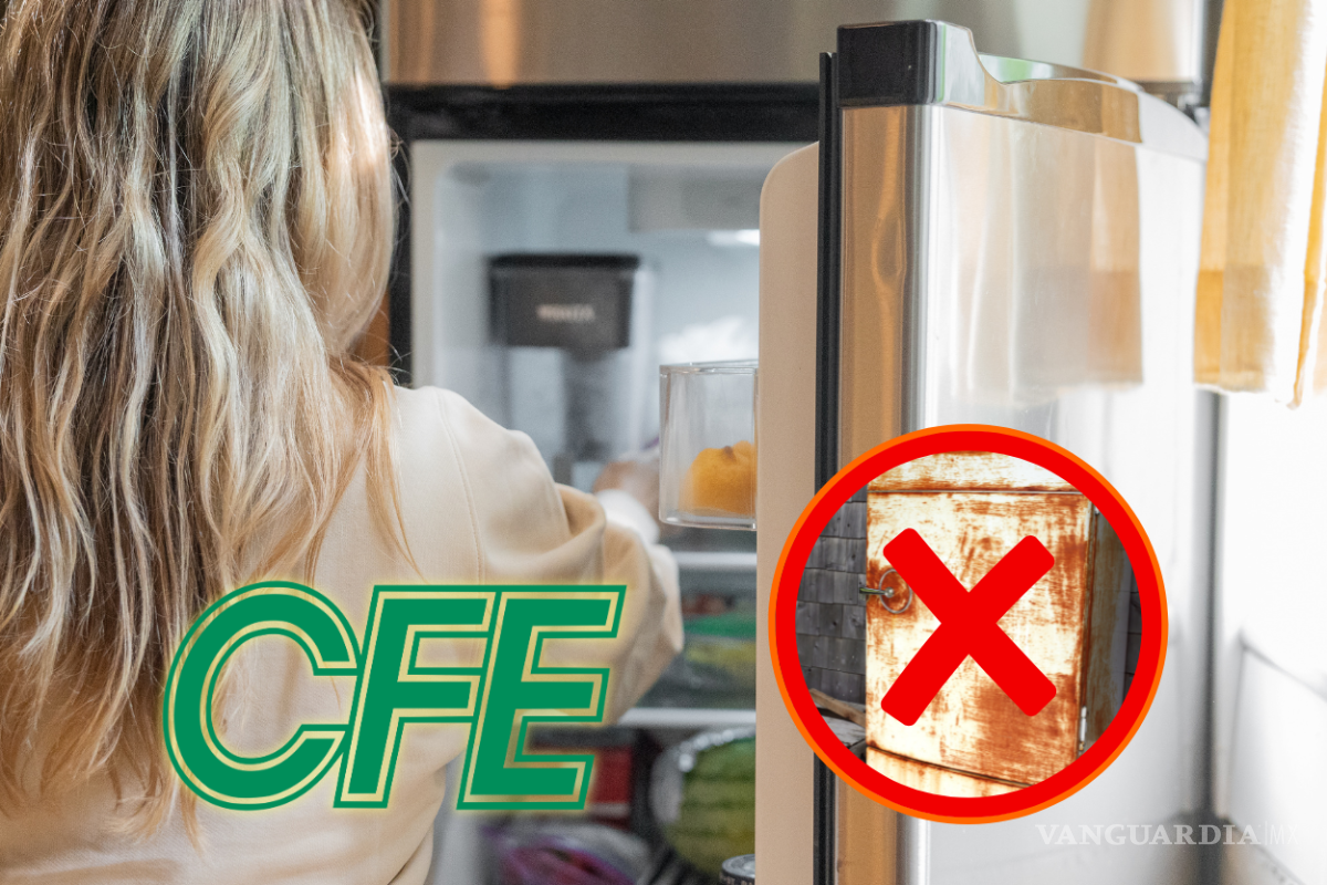 CFE renueva tus electrodomésticos para que ahorres energía y dinero: ¡Adiós a los refrigeradores que no enfrían!