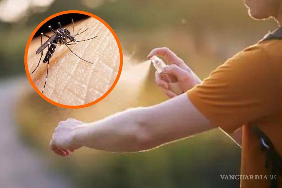 Suman 32 muertes por dengue en Morelos