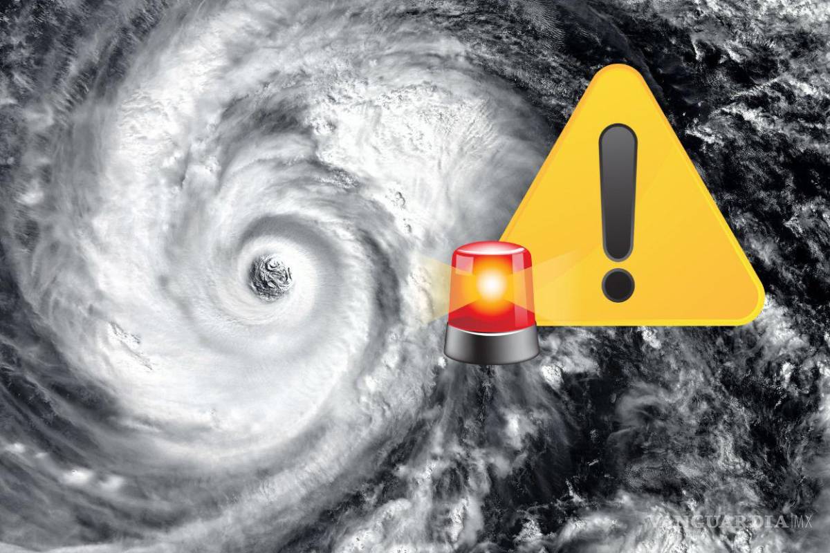 Compras de pánico en Florida por el huracán ‘Milton’ provocan escasez de productos