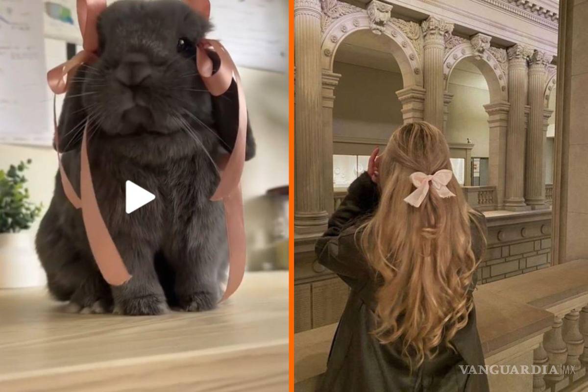 TikTok: conejito al estilo ‘Coquette’ se volvió viral