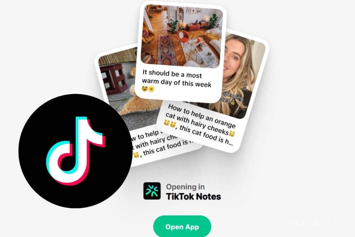 ‘TikTok Notes’, la nueva aplicación de la plataforma de videos cortos que competirá con Instagram