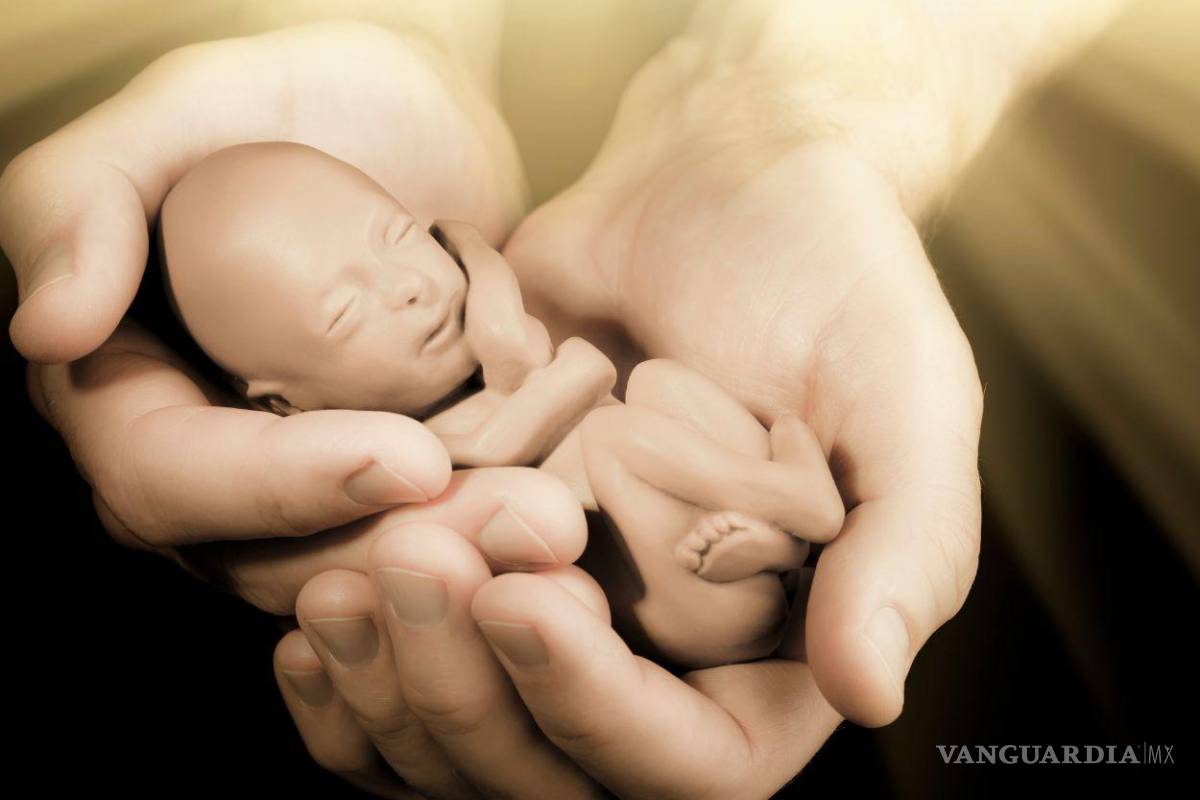 Nuevo León: Consideran regresiva resolución que prohíbe enseñar el respeto a la vida