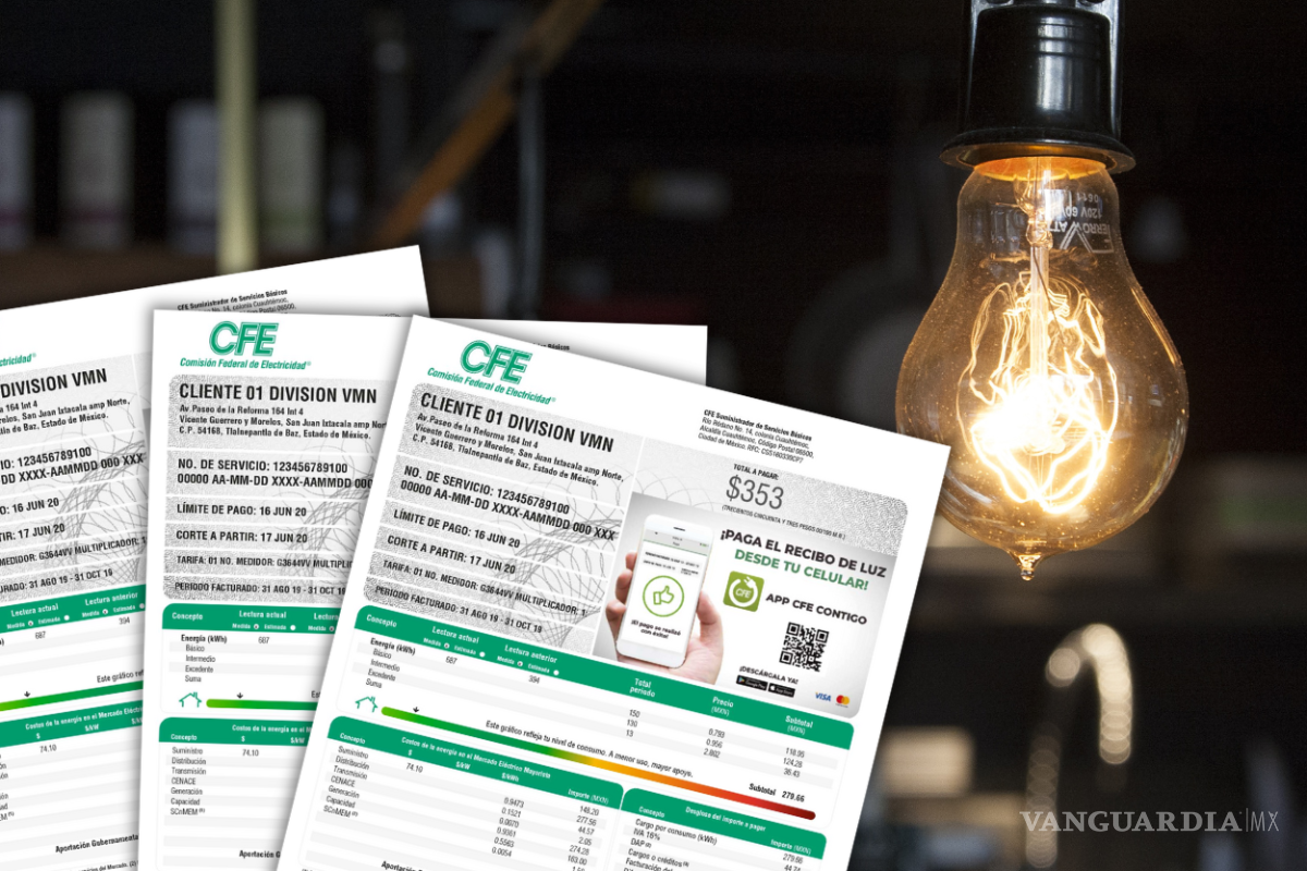 CFE: ¿Qué estados tendrán el descuento del 50% en el recibo de luz en 2024 y qué requisitos debe de cumplir?