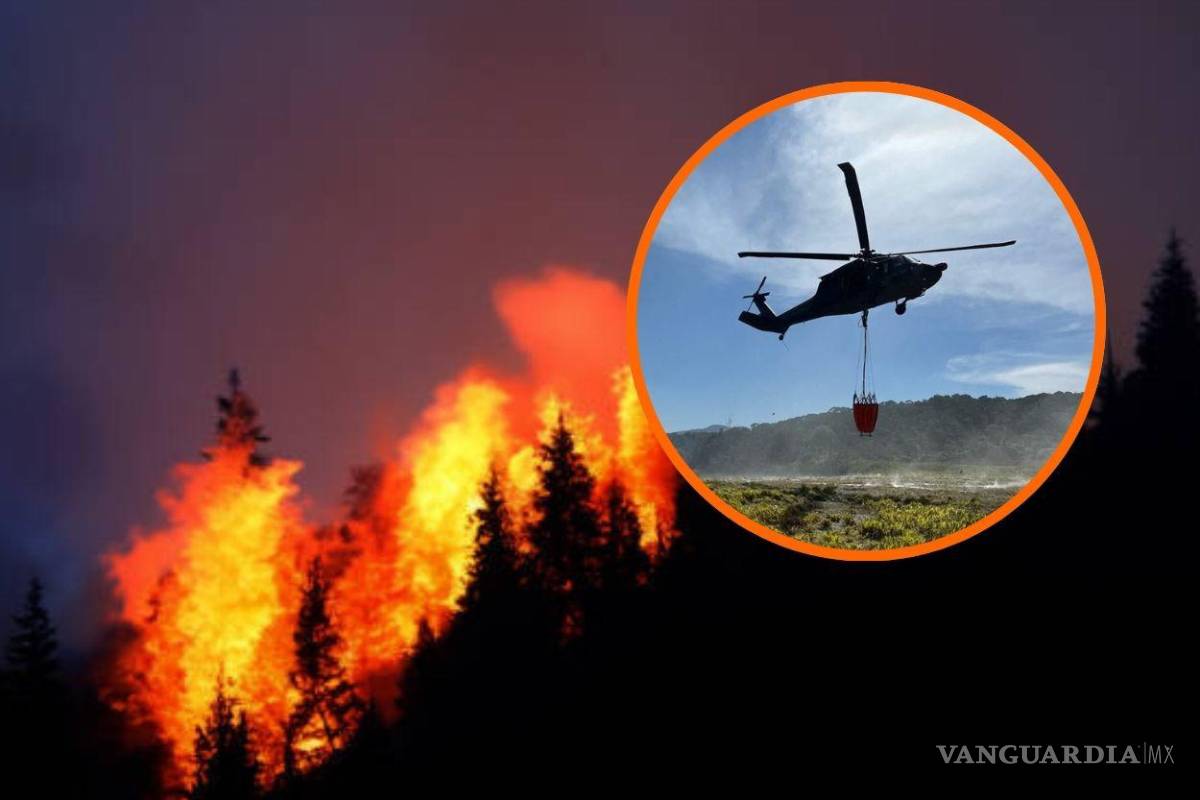 Presidente de Colombia, Gustavo Petro, pidió ayuda internacional para combatir incendios forestales