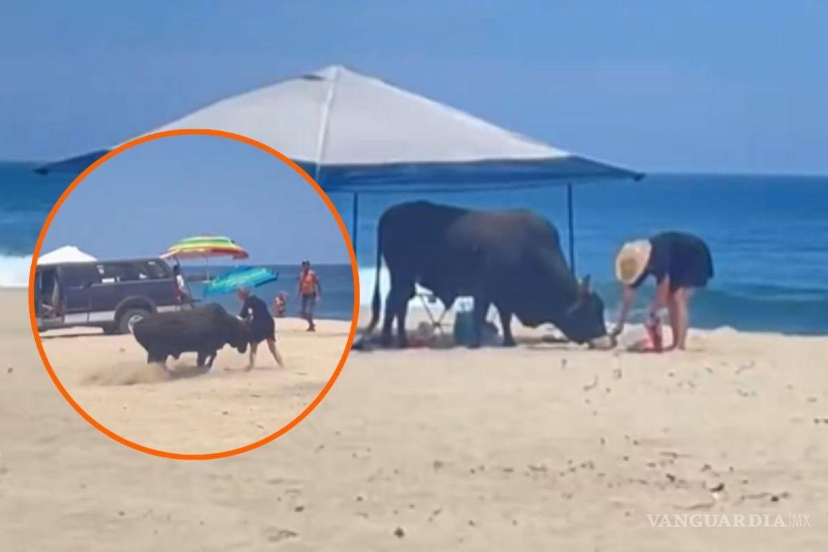 ¡Olé! Mujer fue embestida por un toro en Los Cabos, BCS (video)