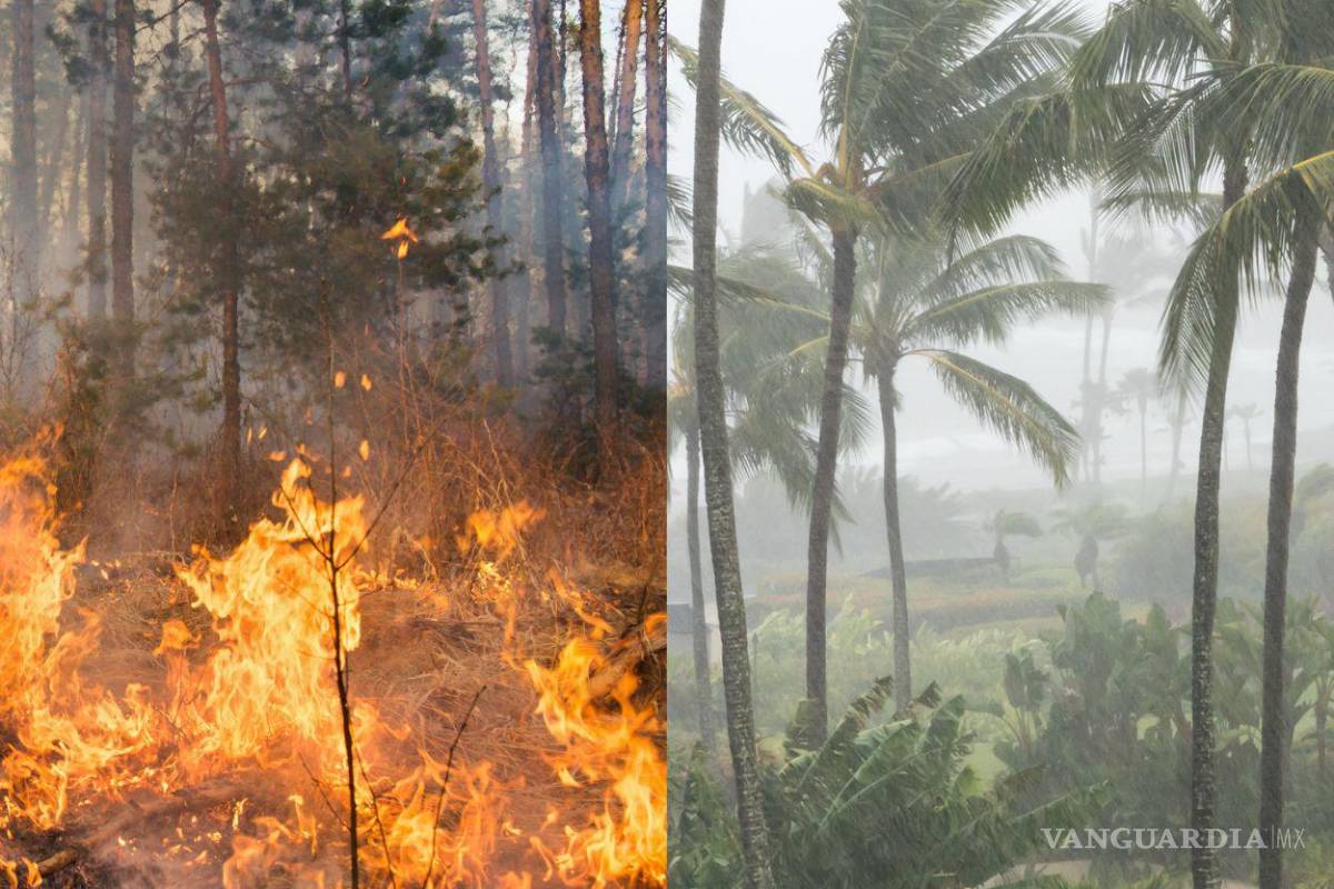 Oaxaca enfrenta alerta por huracán mientras combate 24 incendios que ya dejaron 6 muertos